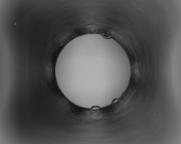 X0000100320615200806191004