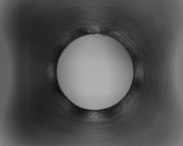 X0000100320616200806191004