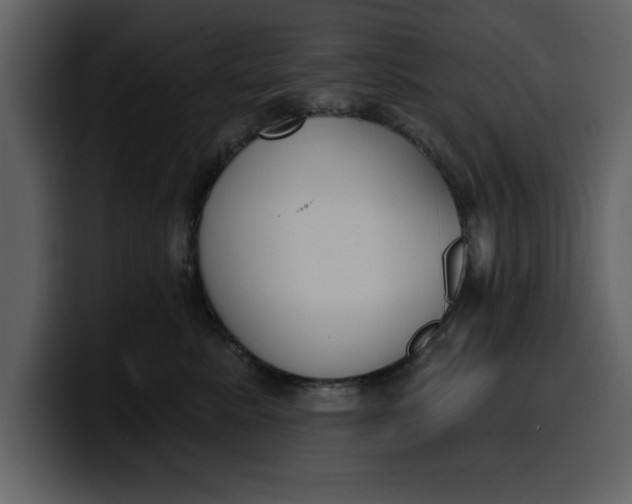 X0000100320619200806191004