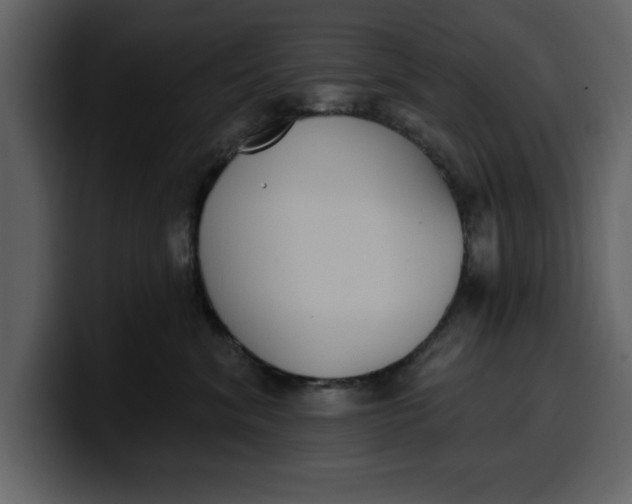 X0000100320620200806191004