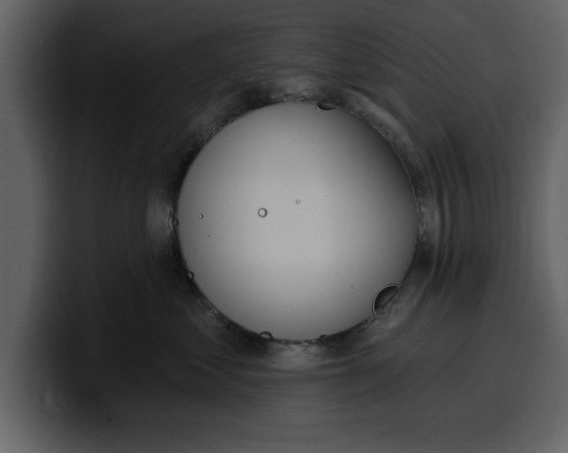 X0000100320621200806191004