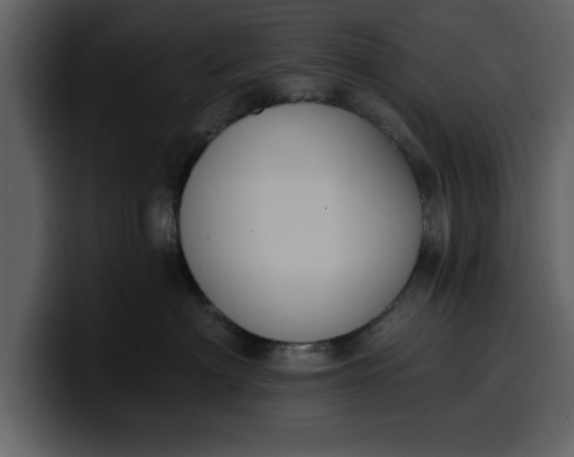 X0000100320622200806191004