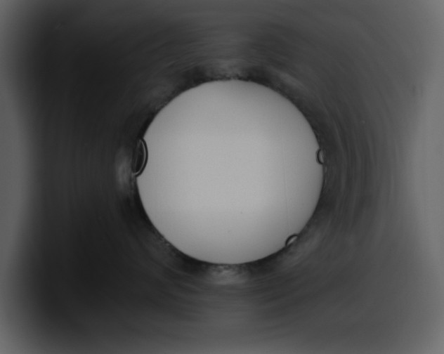 X0000100320624200806191004