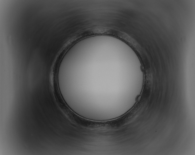 X0000100320626200806191004