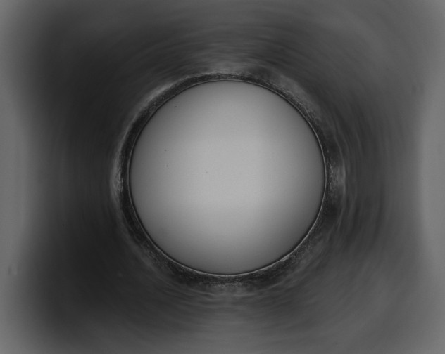 X0000100320628200806191004