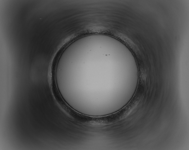 X0000100320630200806191004