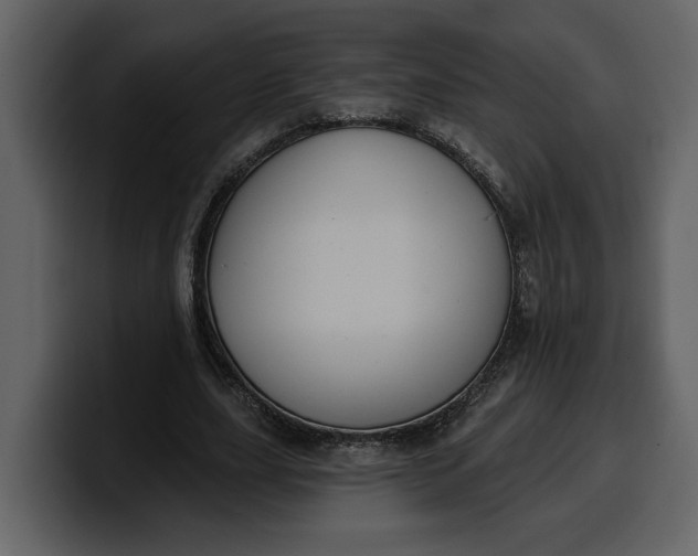 X0000100320631200806191004