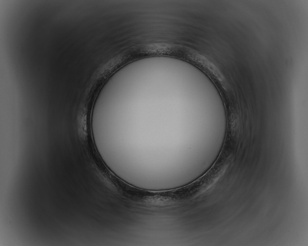 X0000100320633200806191004