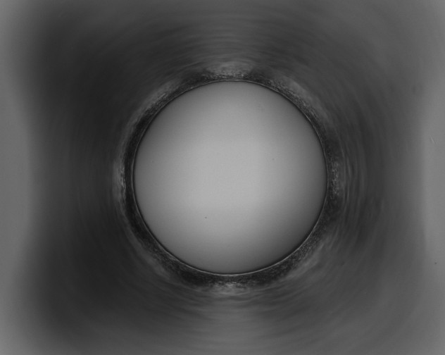 X0000100320634200806191004