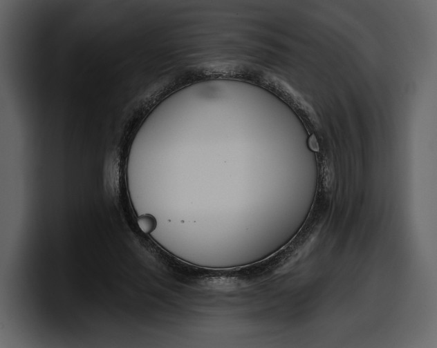 X0000100320637200806191004