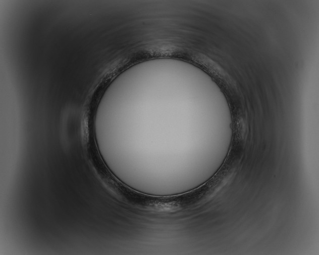 X0000100320638200806191004