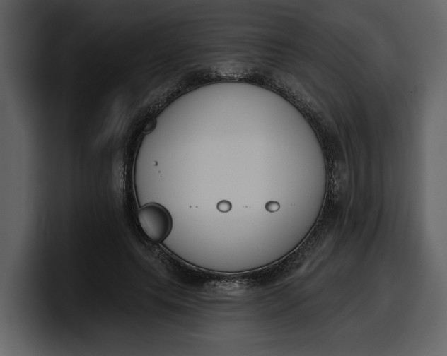 X0000100320639200806191004