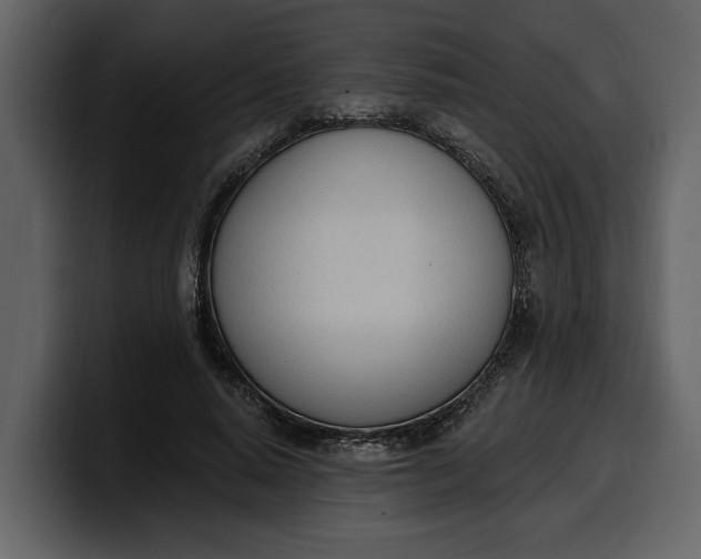 X0000100320640200806191004