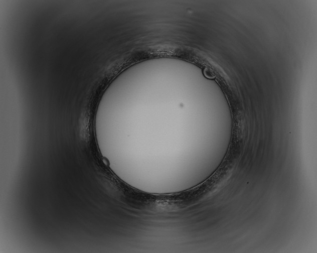 X0000100320641200806191004