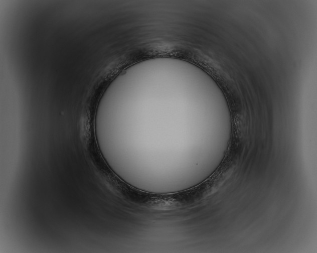 X0000100320642200806191004