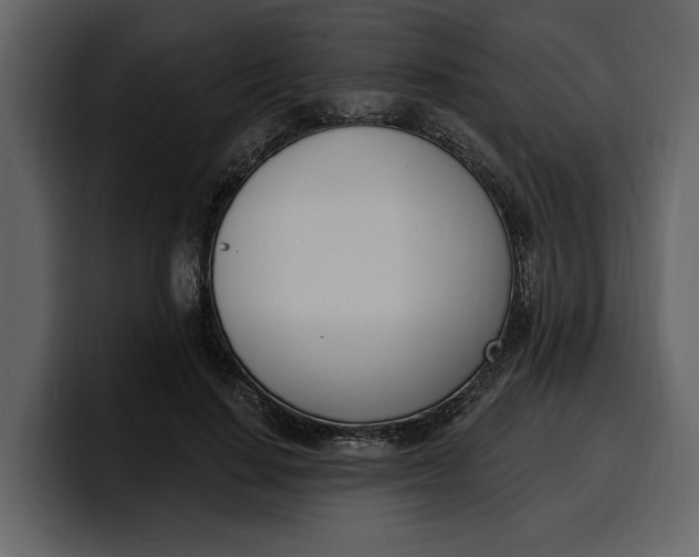 X0000100320644200806191004