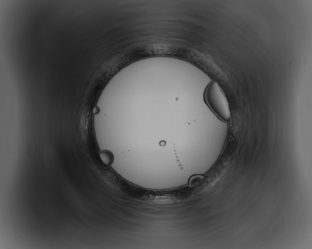 X0000100320645200806191004