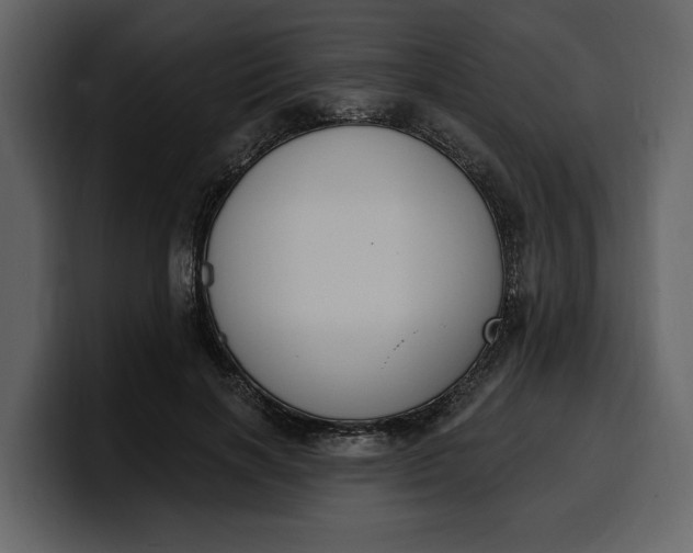 X0000100320646200806191004