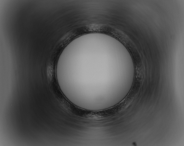 X0000100320648200806191004