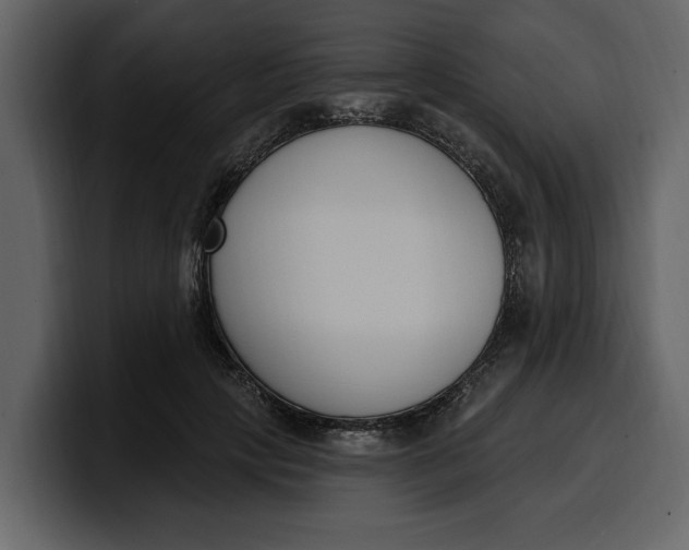 X0000100320649200806191004