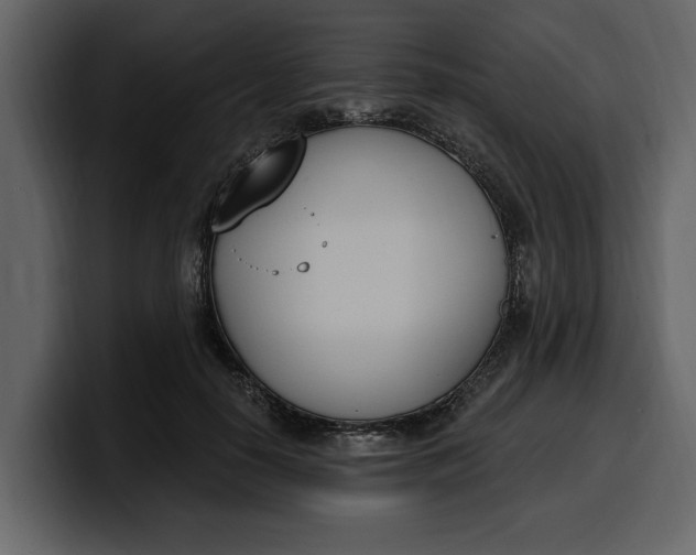 X0000100320650200806191004