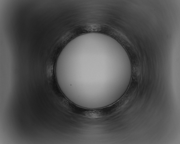 X0000100320652200806191004