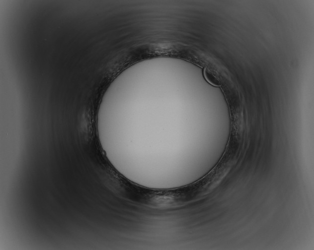 X0000100320653200806191004