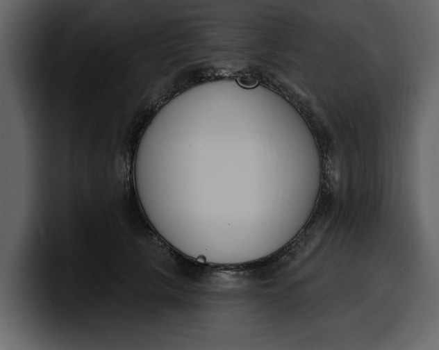 X0000100320657200806191004