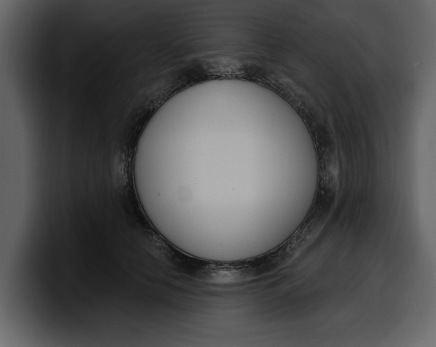 X0000100320658200806191004