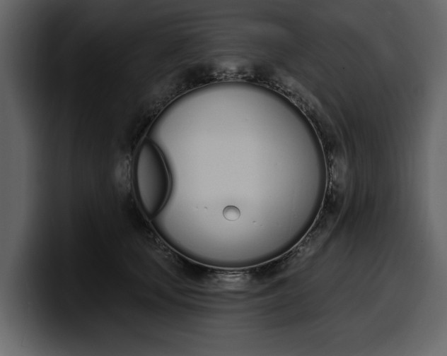 X0000100320659200806191004