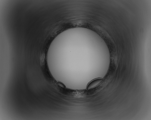 X0000100320660200806191004