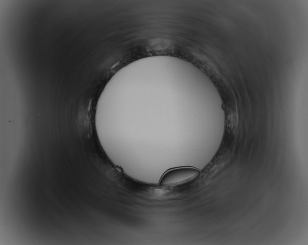 X0000100320662200806191004