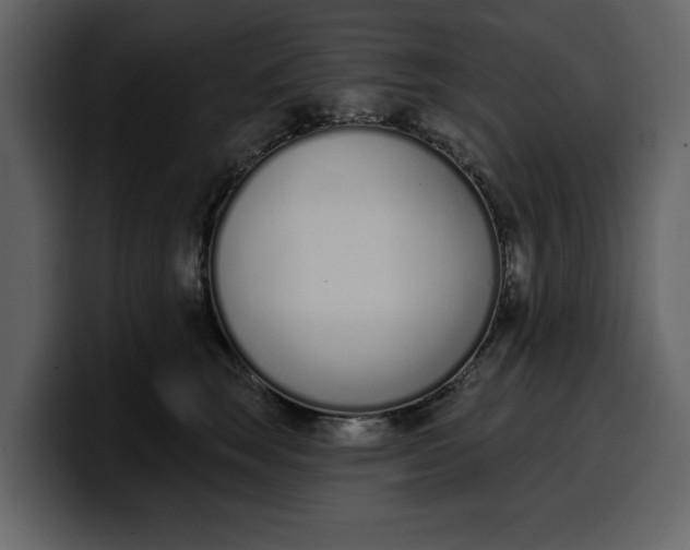 X0000100320663200806191004