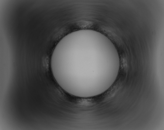 X0000100320664200806191004