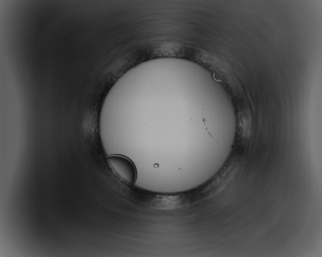 X0000100320665200806191004