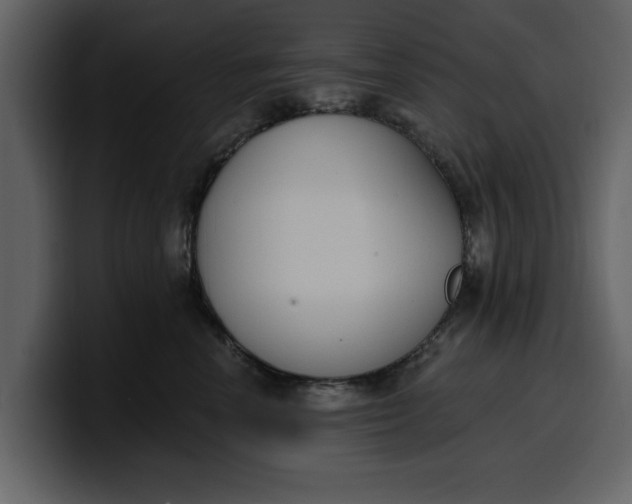 X0000100320666200806191004