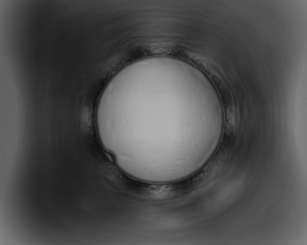 X0000100320667200806191004