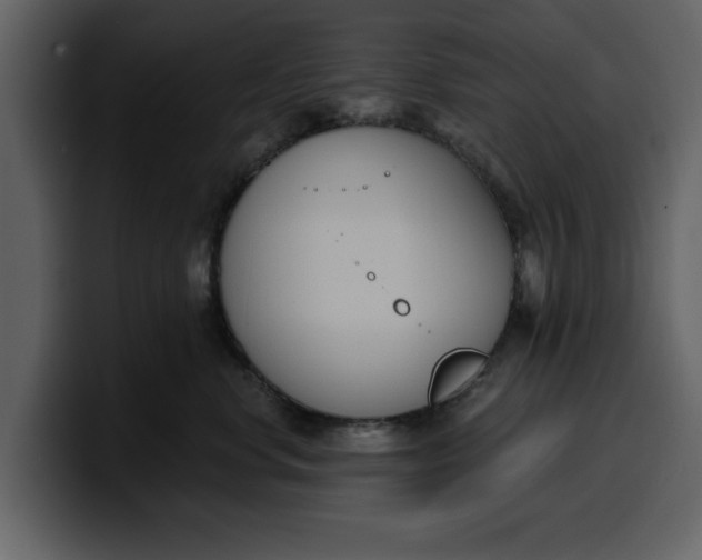 X0000100320668200806191004