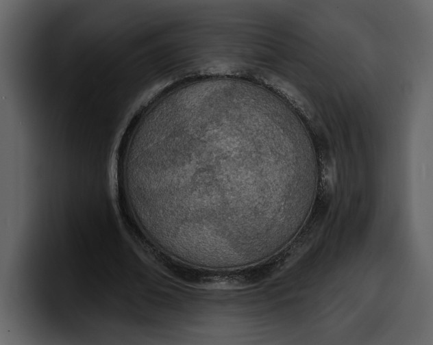 X0000100320678200806191003