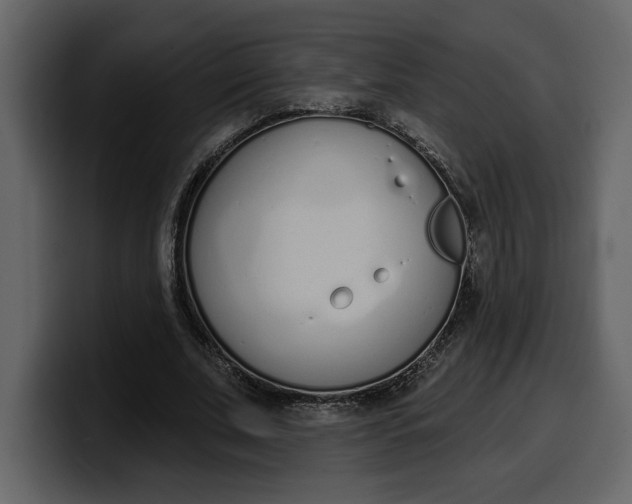 X0000100320679200806191003