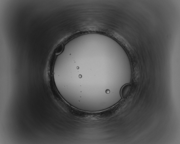 X0000100320680200806191003