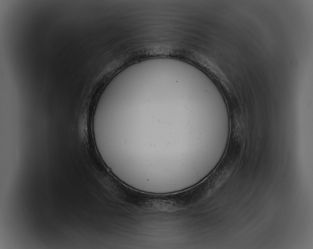 X0000100320681200806191003