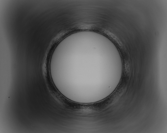 X0000100320682200806191003