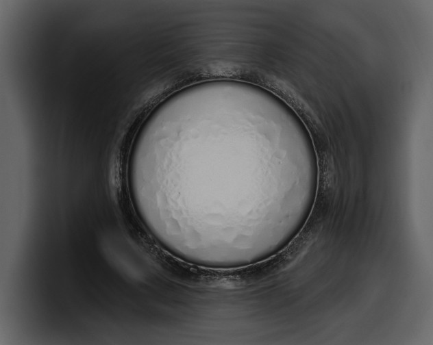 X0000100320683200806191003