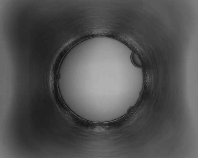 X0000100320684200806191003