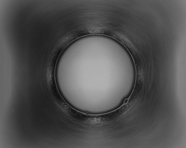 X0000100320687200806191003