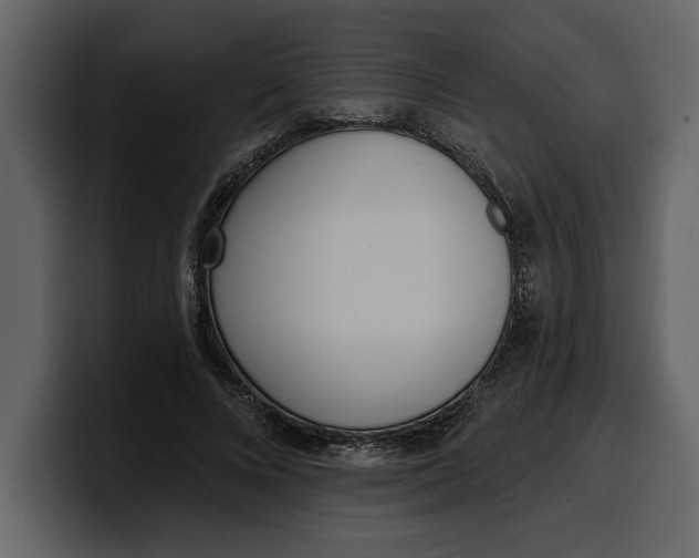 X0000100320688200806191003