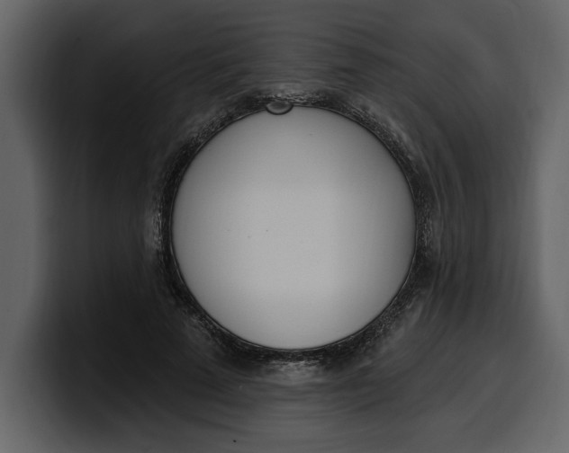 X0000100320689200806191003