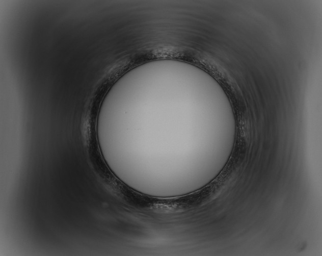 X0000100320690200806191003