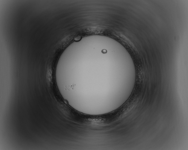 X0000100320693200806191003